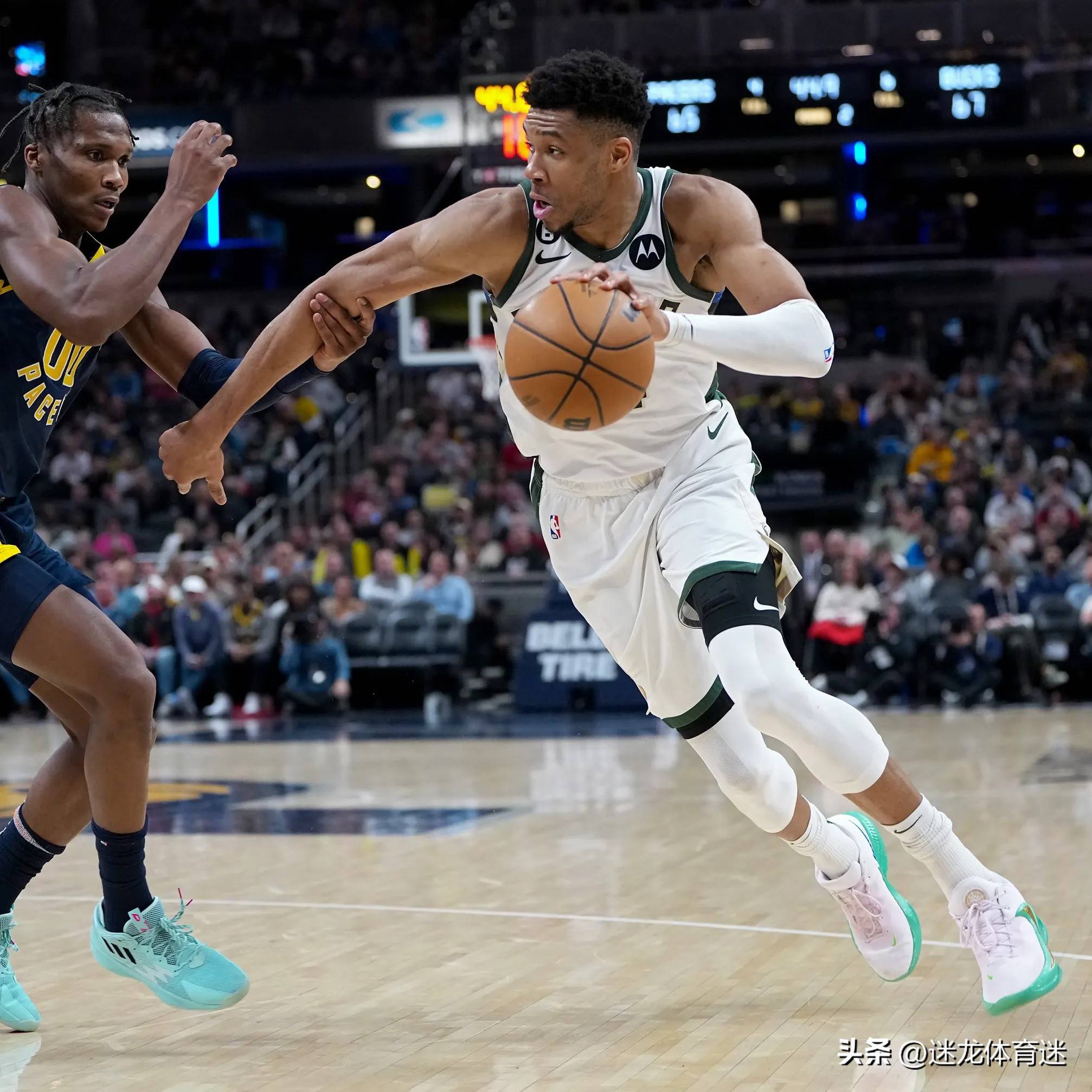 包含雄鹿核心字母哥备战战术，带领球队更进一步的词条