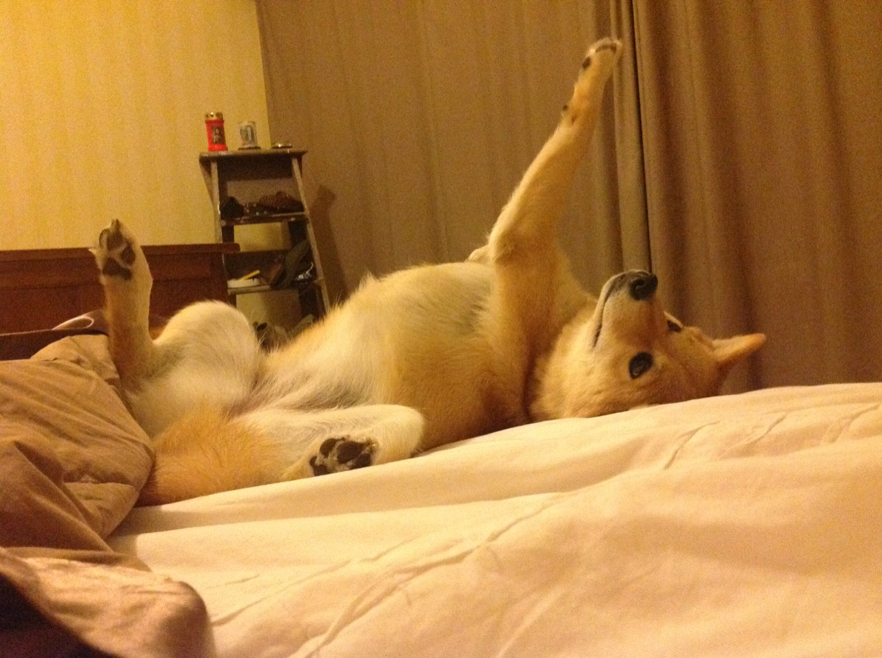 京华对决，胜利者的凌晨，爱德华兹里程碑夜见证北京队加时险胜勇士