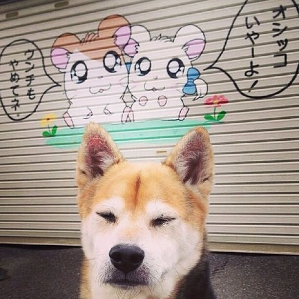 阳光普照,巨星闪光,太阳战术全面压制,克莱诠释冠军价值