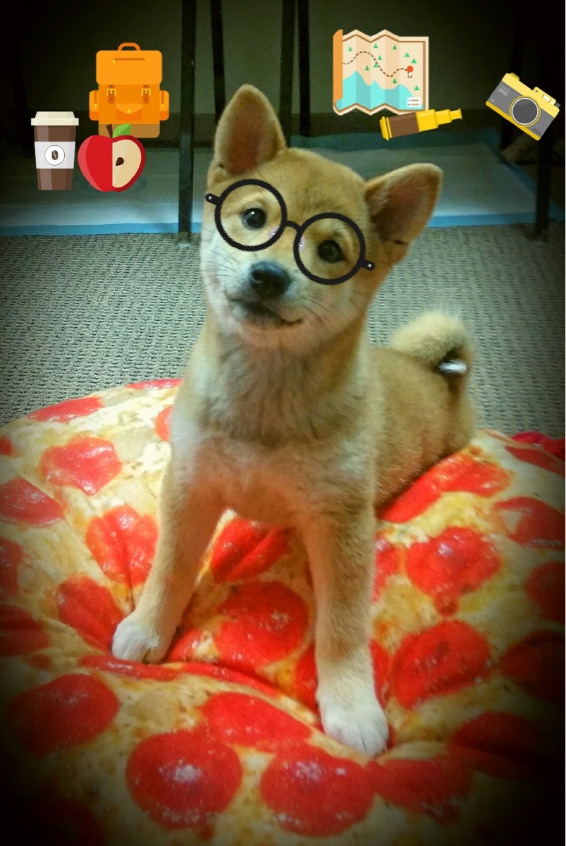 沙漏之核，利拉德在抢七之夜的攻防转换艺术