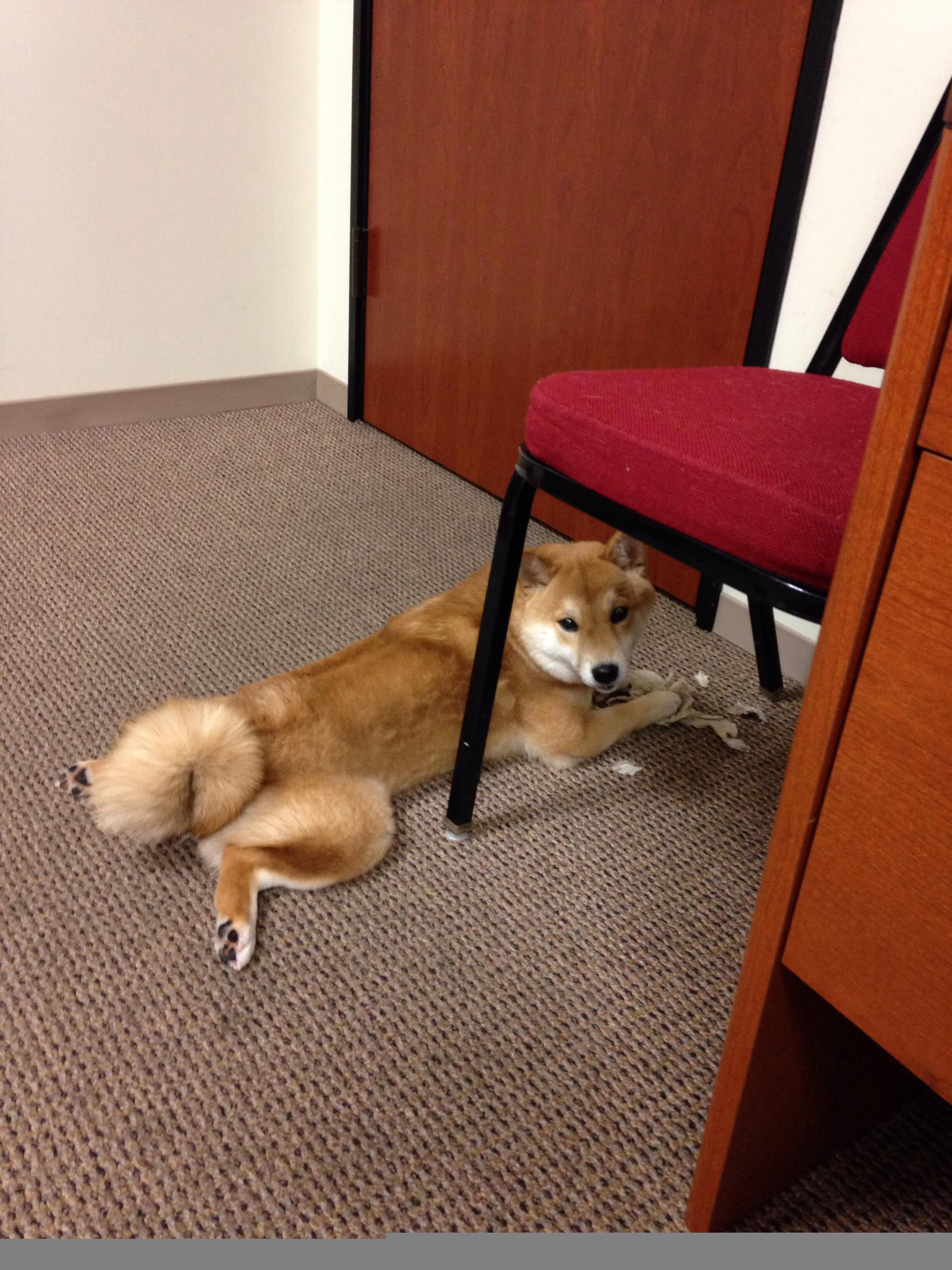 火力全开，恩比德展现巨星价值 溃堤之患，奇才冲垮国王防线