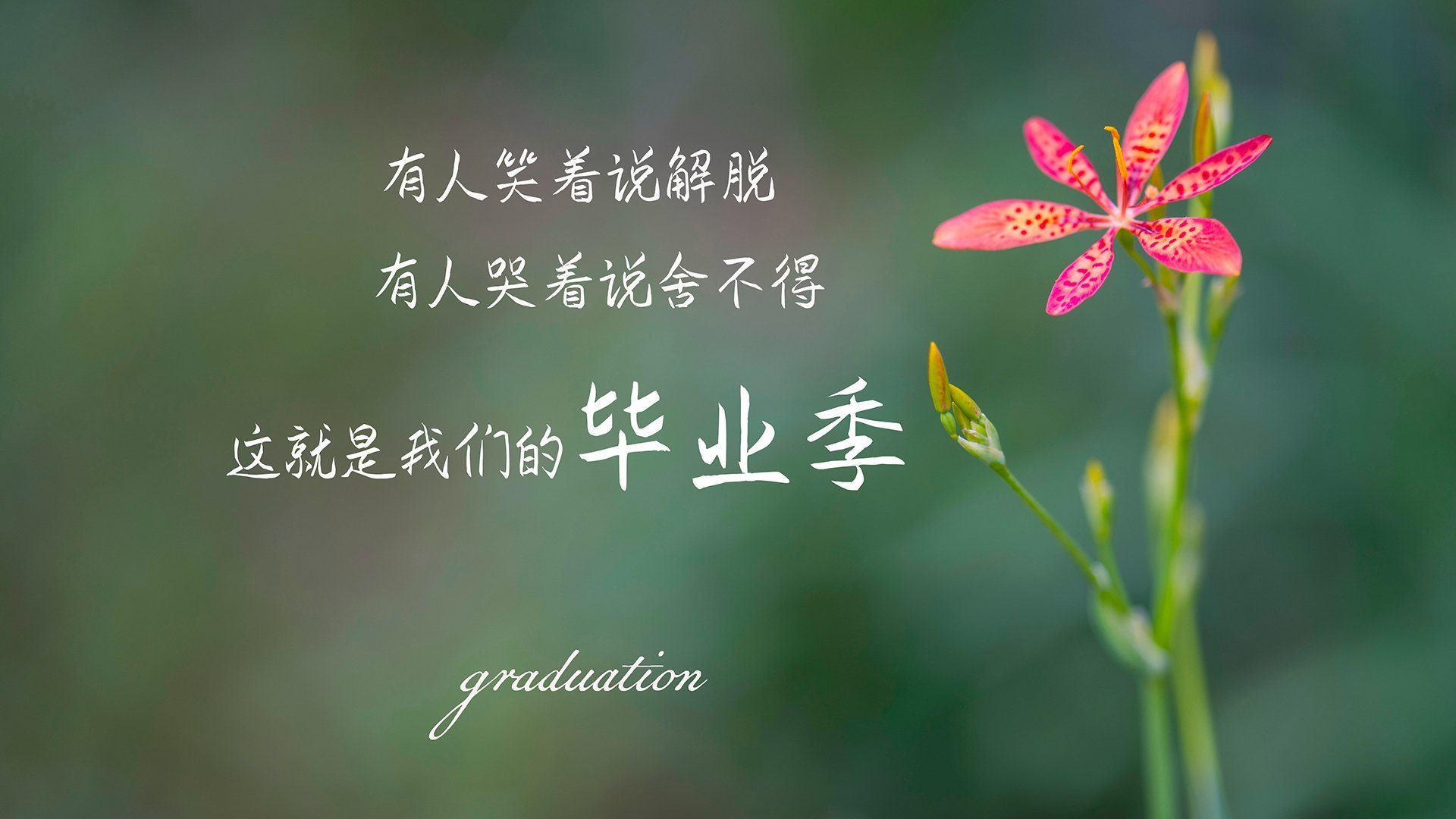 沙漠之鹰与北欧海盗的宿命对决,托纳利,那道撕裂亚洲与欧洲防线的唯一光芒